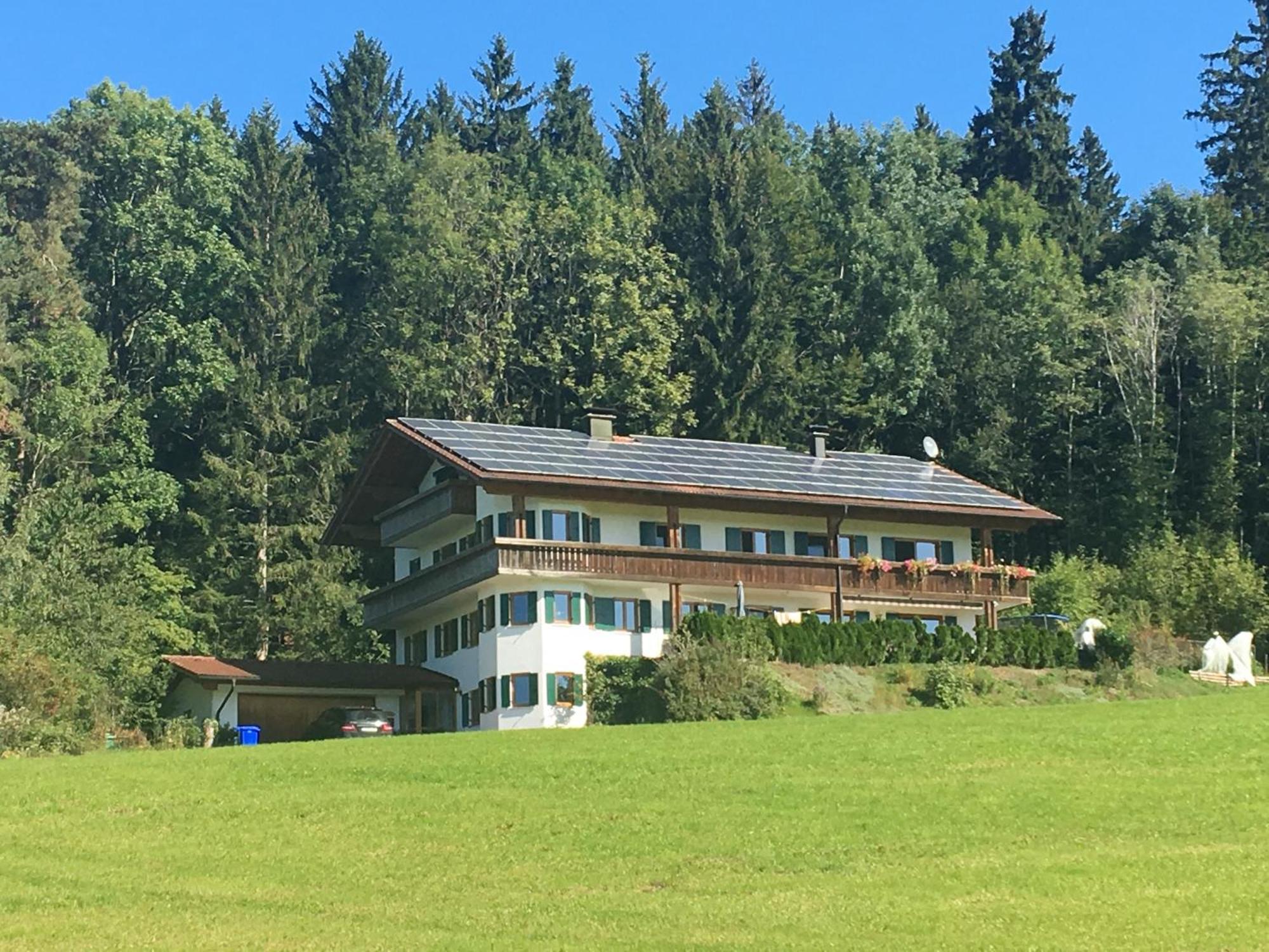 Martin'S Alm Apartment Friesenried Bagian luar foto